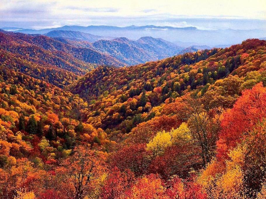 Bourbon Hollow Lodge With Hot Tub And Pool Plus Game Room Only 5 Min To Downtown Gatlinburg Exteriör bild